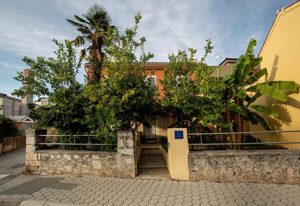 Apartman Den,Rovinj Oaza U Centru Grada I Besplatnim Parkingom 아파트 외부 사진