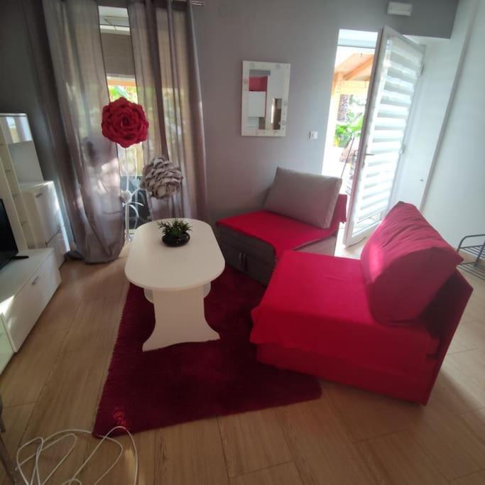 Apartman Den,Rovinj Oaza U Centru Grada I Besplatnim Parkingom 아파트 외부 사진